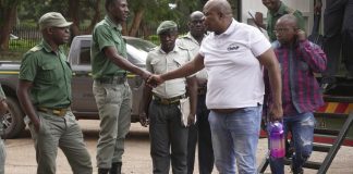 NEWS Zimbabwe: Opposition figure sentenced to nine months In prison