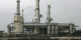 TURKEY :Museum curator detained at Turkish airport for smuggling spider and scorpion samples