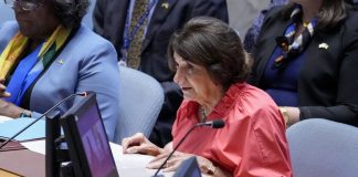 Sudan war fuelled by weapons from foreign actors in violation of sanctions – UN