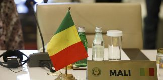 Mali bans political party activities as calls for elections grow