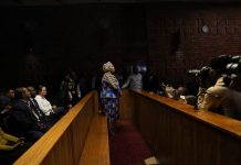 Mews South Africa: former Speaker of Parliament released on bail