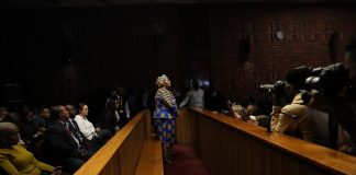 Mews South Africa: former Speaker of Parliament released on bail