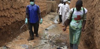 Cholera outbreak: Medical experts, government move to curb spread