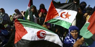 🇪🇭 France shifts Western Sahara stance, seeking closer ties with Morocco