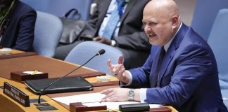 🇸🇩ICC’s bi-annual review of Darfur crimes delivered to UN Council