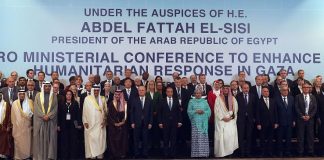 Egypt rallies for humanitarian support for Gaza