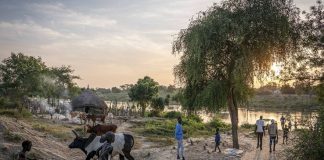 South Sudan: Those displaced return after fleeing violence South Sudan: Those displaced return after fleeing violence